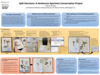 Gardner Erika SPNHC 2020 optimized.jpg