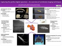 imaging, vertebrates, 3D scanning, Canadian Museum of Nature, photogrammetry