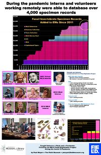 Caught between a Rock and a Pandemic: Finishing an Institute of Museum and Library Services (IMLS) Fossil Digitization Project during the Covid-19 Pandemic
