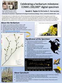 Celebrating an herbarium milestone: CONN's 200,000th databased specimen