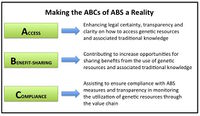 ABCs of ABS ABSCH.jpg