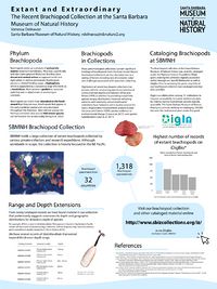 Extant and Extraordinary: The Recent Brachiopod Collection At The Santa Barbara Museum of Natural History