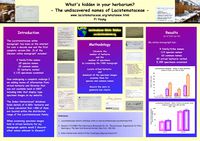 Lacistemataceae, species, common names, herbarium